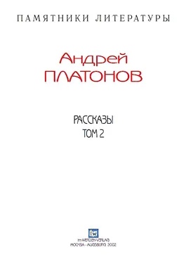 Андрей Платонов Рассказы.Том 2 обложка книги