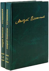 Андрей Платонов - Публицистика