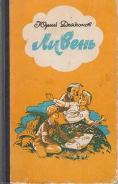 Юрий Дьяконов Граница в роще Сосновой обложка книги