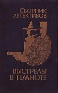 Владимир Савельев Выстрелы в темноте обложка книги