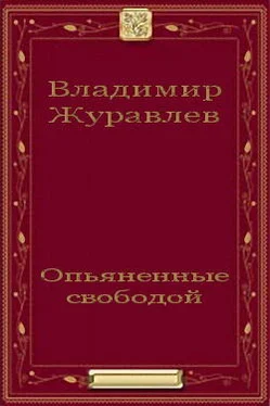 Владимир Журавлев Опьяненные свободой обложка книги