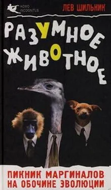 Лев Шильник Разумное животное. Пикник маргиналов на обочине эволюции обложка книги