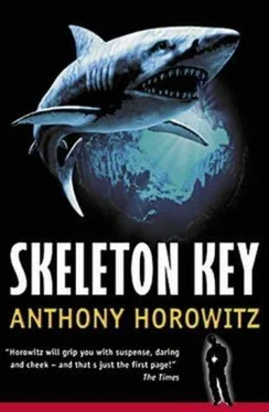 Anthony Horowitz Skeleton Key обложка книги