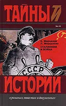 Андрей Мерцалов Сталинизм и война обложка книги