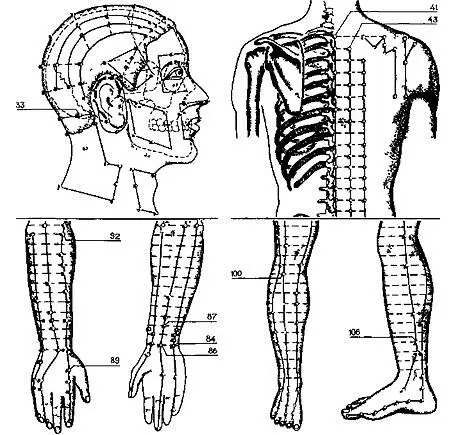 Рис 12Акупунктурные точки при болях в области сердца Инфарктом миокарда - фото 14