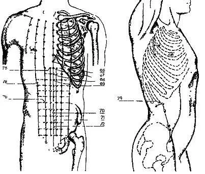 Рис 18Акупунктурные точки при болях в животе При болях в верхней половине - фото 20