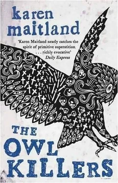 Karen Mailand The Owl Killers обложка книги