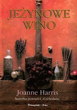 Joanne Harris Jeżynowe Wino