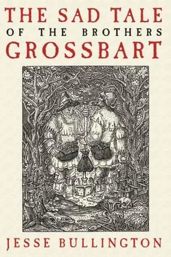 Jesse Bullington The Sad Tale of the Brothers Grossbart обложка книги