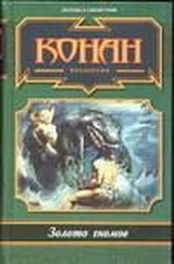 Елена Хаецкая - Я люблю Конана