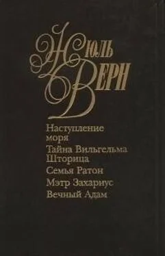 Жюль Верн Семья Ратон обложка книги