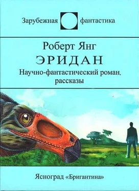 Роберт Янг Вселенные обложка книги