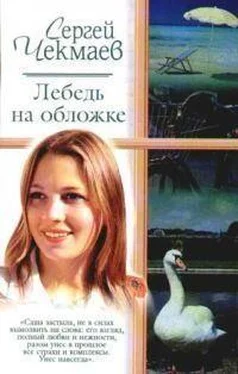 Сергей Чекмаев Лебедь на обложке обложка книги