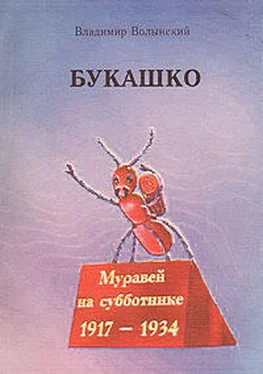 Владимир Моисеев Букашко обложка книги