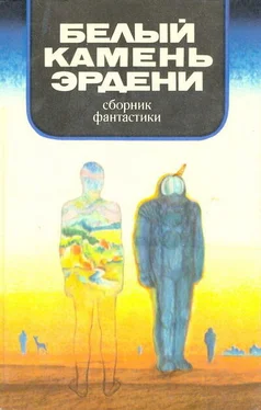 Евгений Брандис В мире фантастики и приключений. Белый камень Эрдени обложка книги