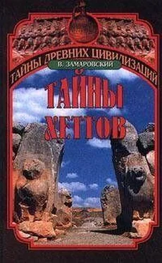 Войтех Замаровский Тайны Хеттов обложка книги