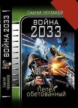 Сергей Чекмаев Война 2033. Пепел обетованный. обложка книги