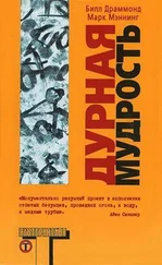 Билл Драммонд - Дурная мудрость