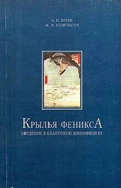 Валентин Ирхин Крылья Феникса; Введение в квантовую мифофизику обложка книги