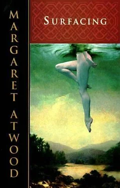 Margaret Atwood Surfacing обложка книги