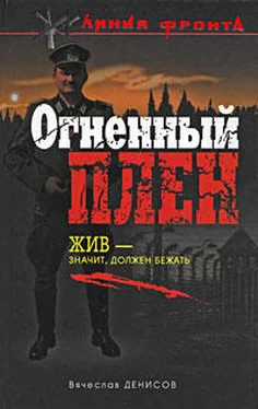 Вячеслав Денисов Огненный плен обложка книги