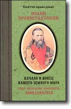 Иоанн Кронштадтский Начало и конец нашего земного мира. Опыт раскрытия пророчеств Апокалипсиса. обложка книги