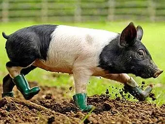 Złoty Eszelon - фото 3