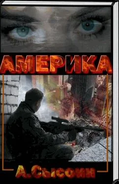 Андрей Сысоин Америка XXI век обложка книги