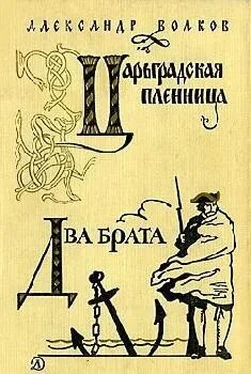 Александр Волков Два брата (др. ред.) обложка книги