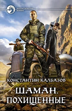 Константин Калбазов Шаман. Похищенные обложка книги