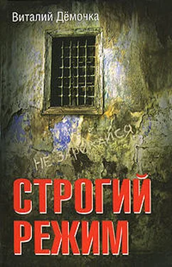 Виталий Дёмочка Строгий режим обложка книги