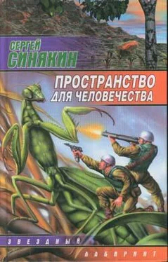 Сергей Синякин Пространство для человечества обложка книги