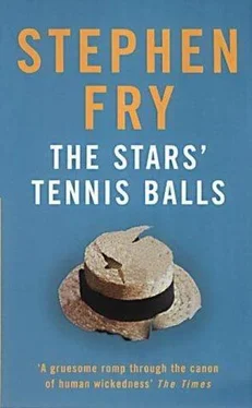 Stephen Fry The Stars’ Tennis Balls обложка книги