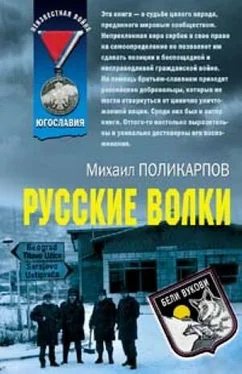 Михаил Поликарпов Русские волки обложка книги