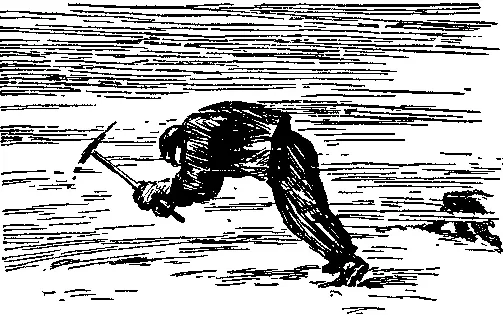 Часть шестая ЦАРСТВО УРАГАНОВ Мы открыли проклятую страну Дуглас Моусон - фото 14