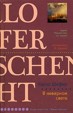 Карло Шефер В неверном свете обложка книги