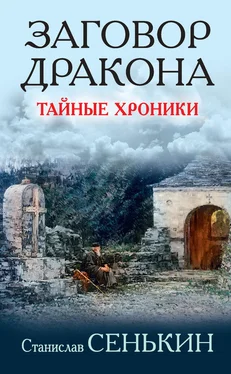 Станислав Сенькин Заговор Дракона. Тайные хроники [litres] обложка книги