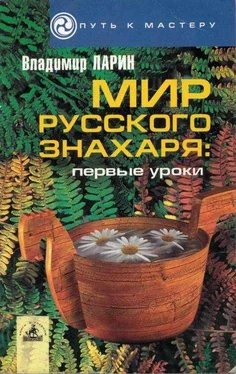 Владимир Ларин Мир русского знахаря - первые уроки. обложка книги