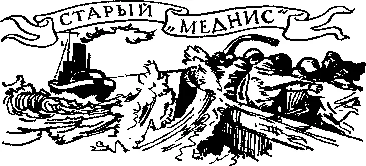 Старый Меднис О буксирном пароходе Меднис на Краснознаменном Балтийском - фото 67