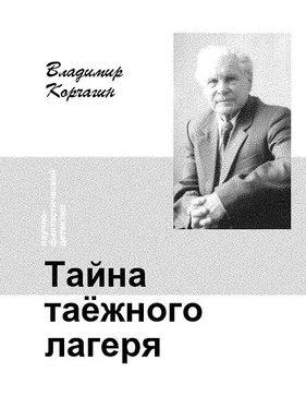 Владимир Корчагин Тайна таёжного лагеря обложка книги