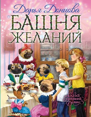 Дарья Донцова Башня желаний обложка книги