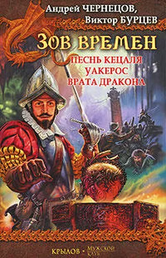 Андрей Чернецов Врата дракона обложка книги