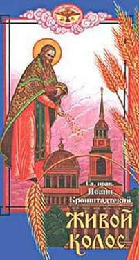 Иоанн Кронштадтский Живой колос обложка книги