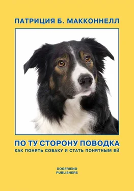 Патриция Макконнелл По ту сторону поводка [Как понять собаку и стать понятным ей] обложка книги