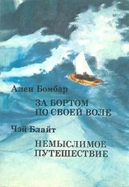 Чэй Блайт Немыслимое путешествие обложка книги