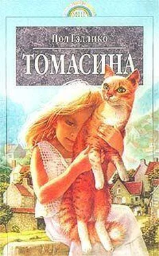 Пол Гэллико Томасина обложка книги