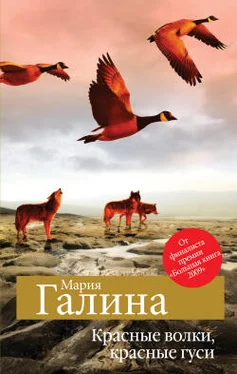 Мария Галина Красные волки, красные гуси (сборник) обложка книги