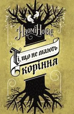 Наоми Новик Ті, що не мають коріння обложка книги