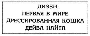 Вот что стояло в афишах Моя жена помешана на кошках у нас своих и то целых - фото 42