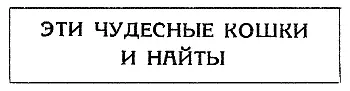 Когда мы окажемся в ваших краях для вас и миссис Терри будет оставлено два - фото 45